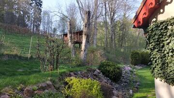 Фотографии Проживание в семье Salamandra Apartament г. Sokołowsko (Польша) №3 Фото Проживание в семье Salamandra Apartament г. Sokołowsko 3